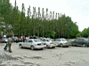 P1060429.jpg