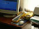 P1000121.jpg